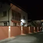 Vibo