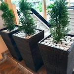 Vibo 3* 사파레바바냐