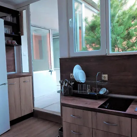 Casa de hóspedes Vibo