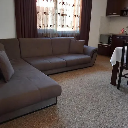 Vibo Guest house *