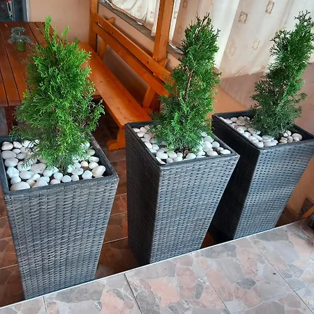 Vibo Guest house *