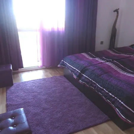 Guest house Vibo